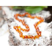 Baltic Amber Adult Necklace - Cognac